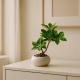 Artificial Plant